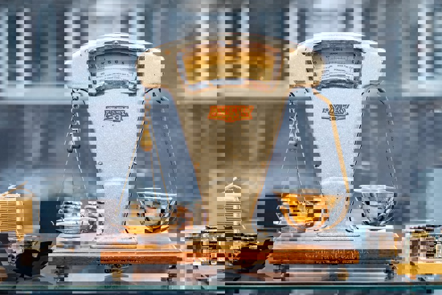 Zdjęcie artykułu